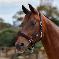 Neo Comfort Headcollar - Black
