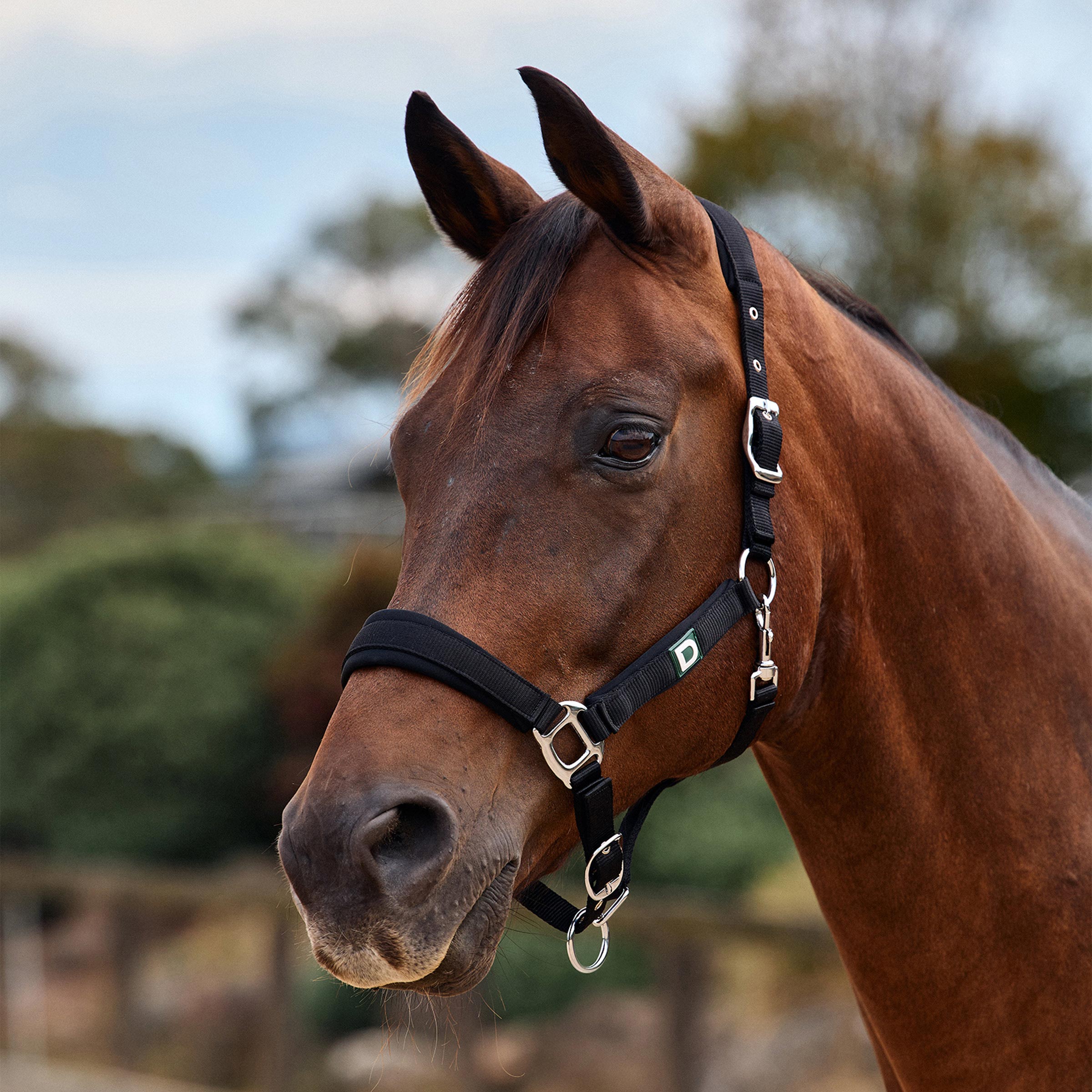 Neo Comfort Headcollar - Black
