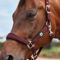 Neo Comfort Headcollar - Burgundy