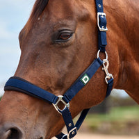 Neo Comfort Headcollar - Navy