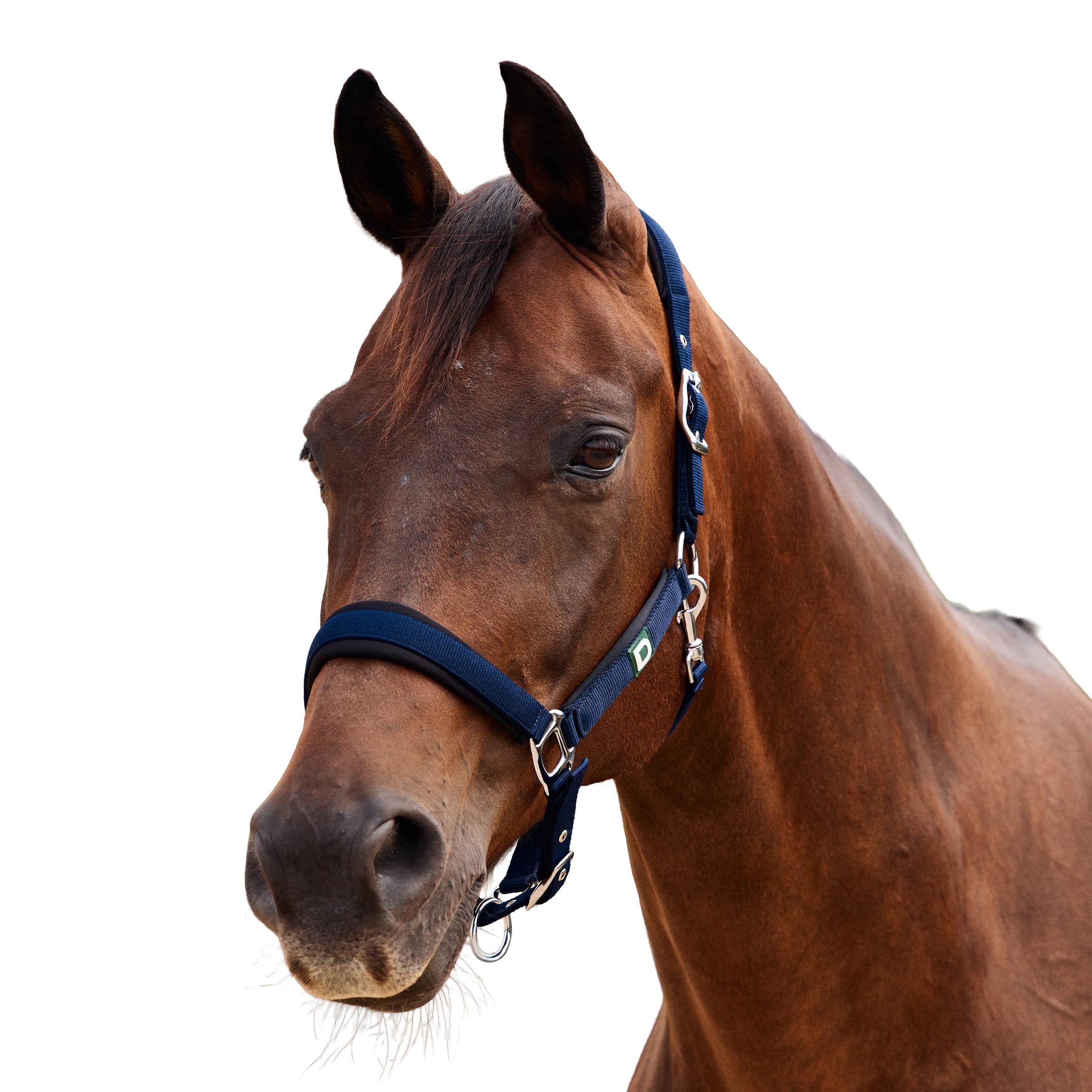 Neo Comfort Headcollar - Navy