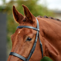 Flat Cavesson Bridle - Black