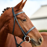 Flat Cavesson Bridle - Black