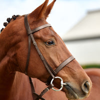Flat Cavesson Bridle - Brown