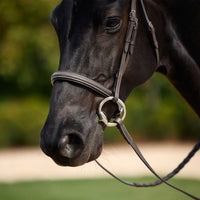 Padded Fancy Stitch Hunt Bridle - Brown
