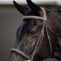 Padded Fancy Stitch Hunt Bridle - Brown
