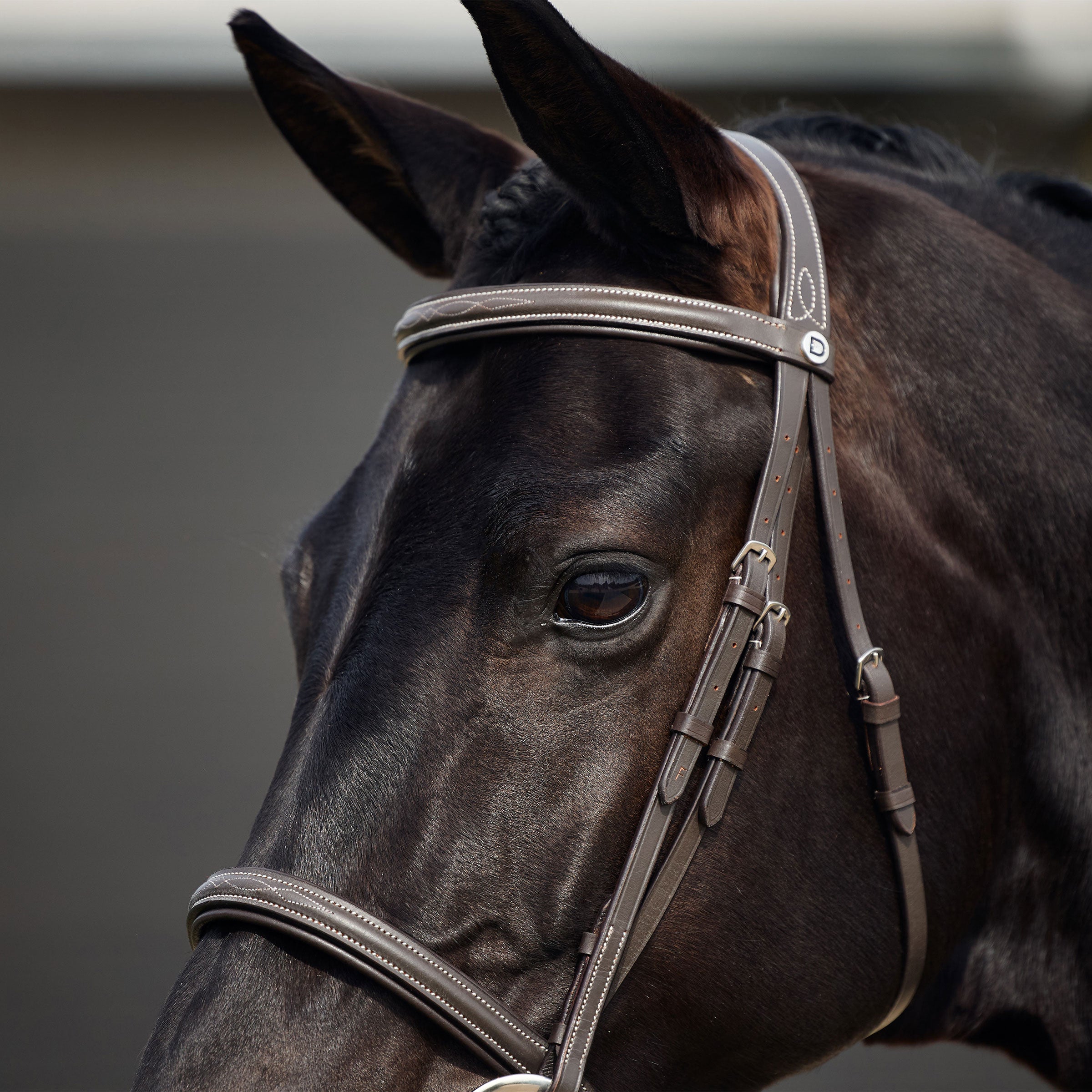 Padded Fancy Stitch Hunt Bridle - Brown
