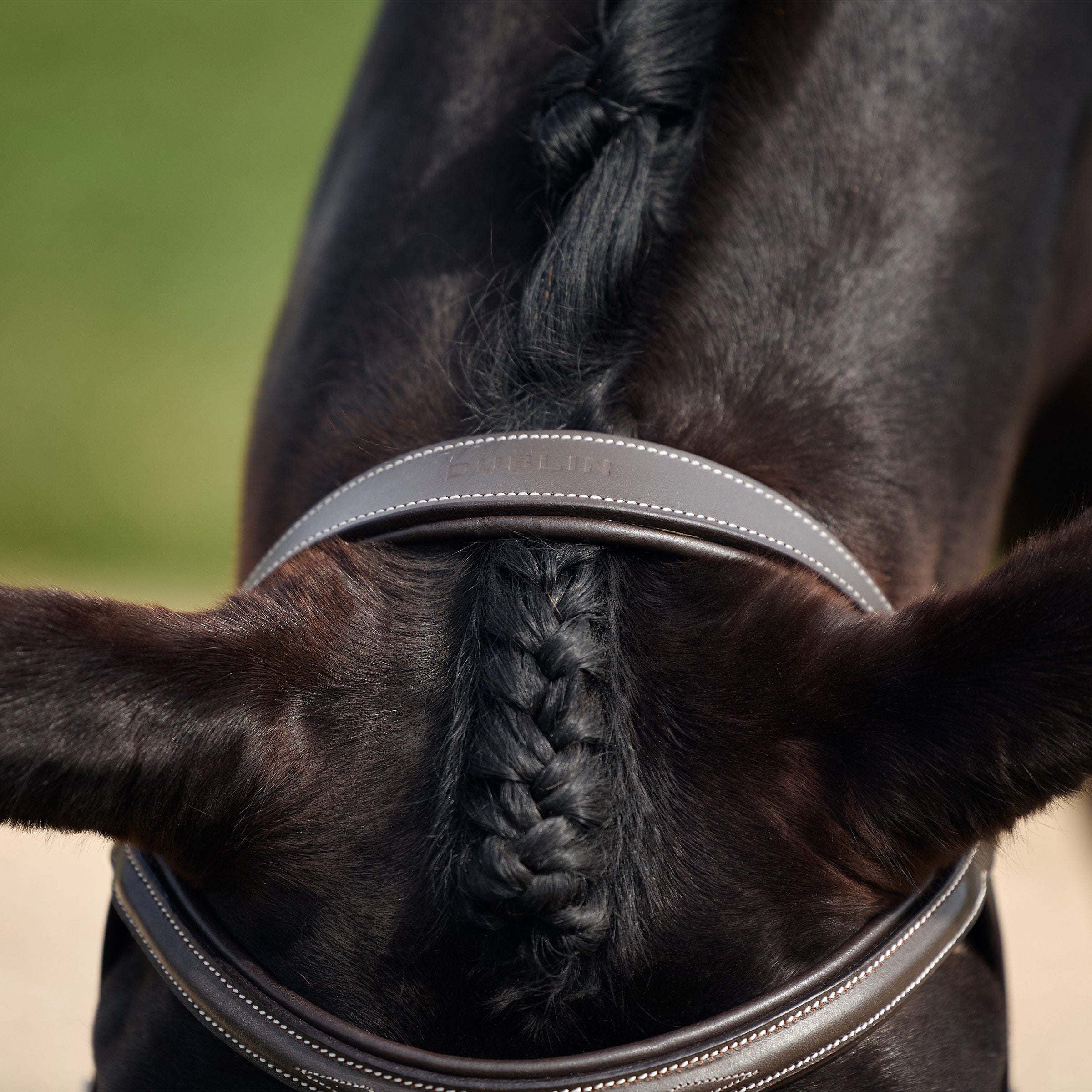 Padded Fancy Stitch Hunt Bridle - Brown