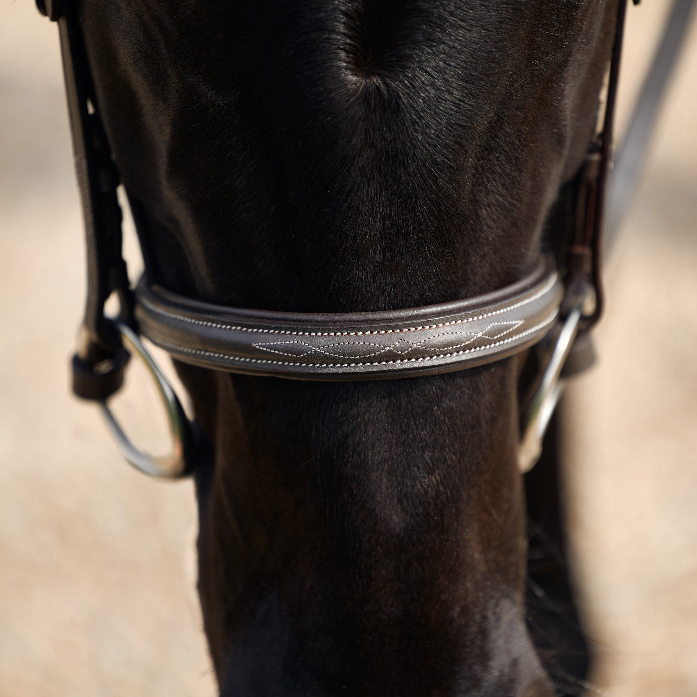 Padded Fancy Stitch Hunt Bridle - Brown
