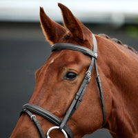 Flash Bridle - Black Mini