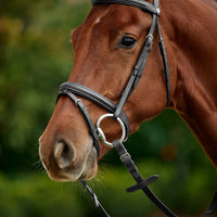 Flash Bridle - Black Mini