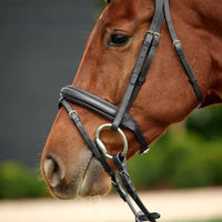 Padded Flash Bridle - Black