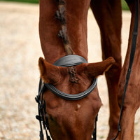 Padded Flash Bridle - Black