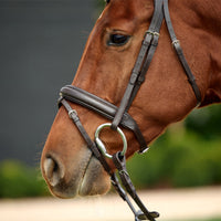 Padded Flash Bridle - Brown