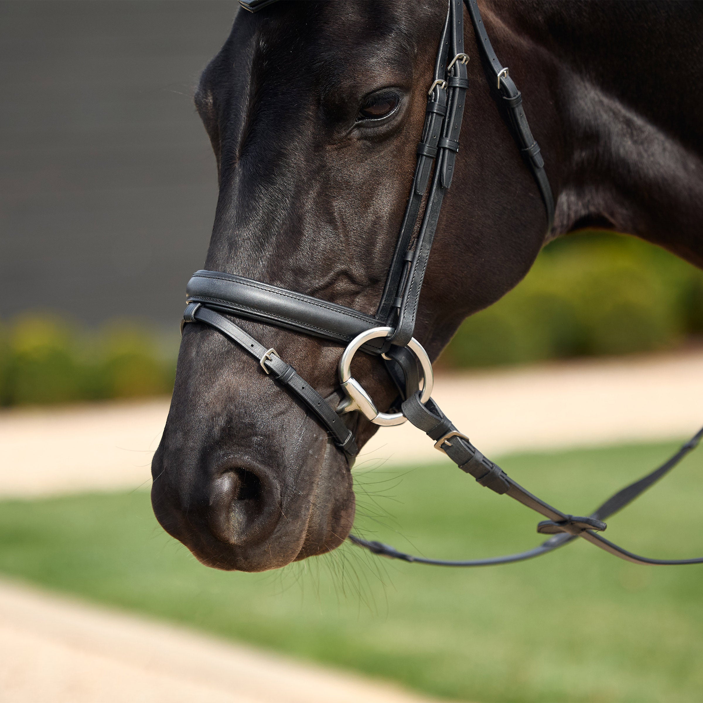 Crystal Flash Bridle - Black