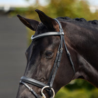 Crystal Flash Bridle - Black