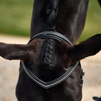 Crystal Flash Bridle - Black