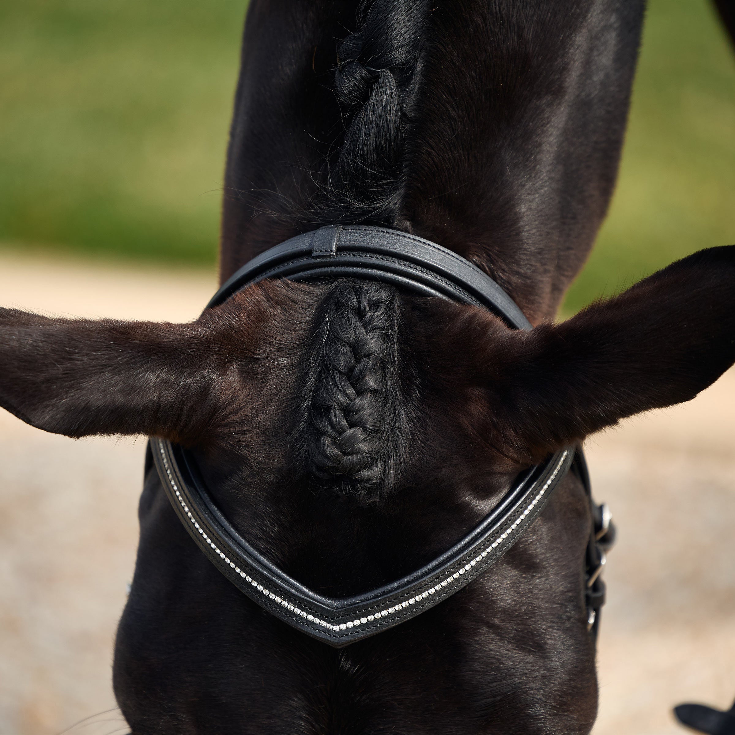 Crystal Flash Bridle - Black