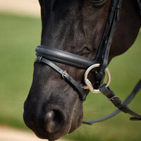 Crystal Flash Bridle - Black