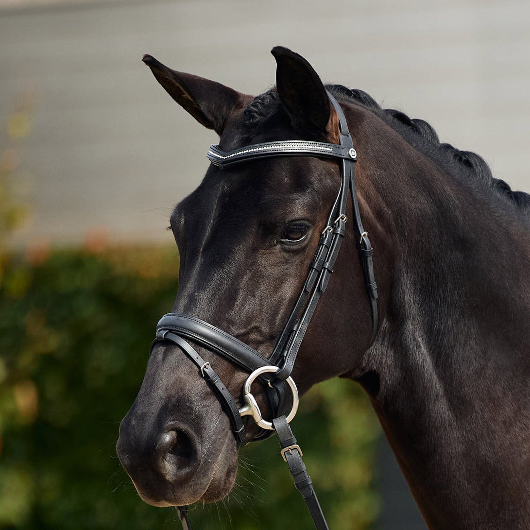 Crystal Flash Bridle - Black
