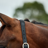 Braided Leather Headcollar - Black