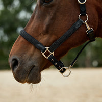 Braided Leather Headcollar - Black