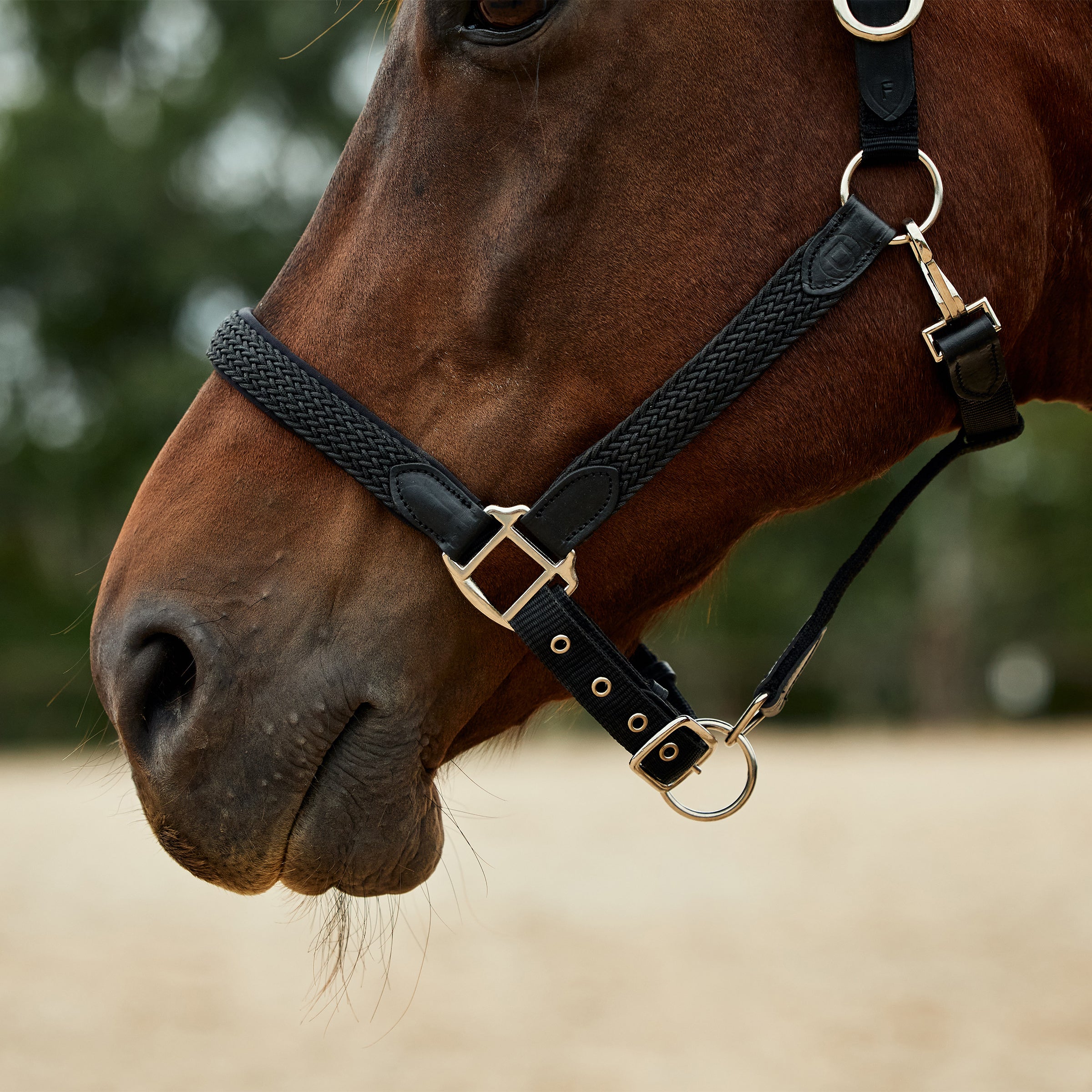 Braided Leather Headcollar - Black