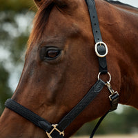 Braided Leather Headcollar - Black