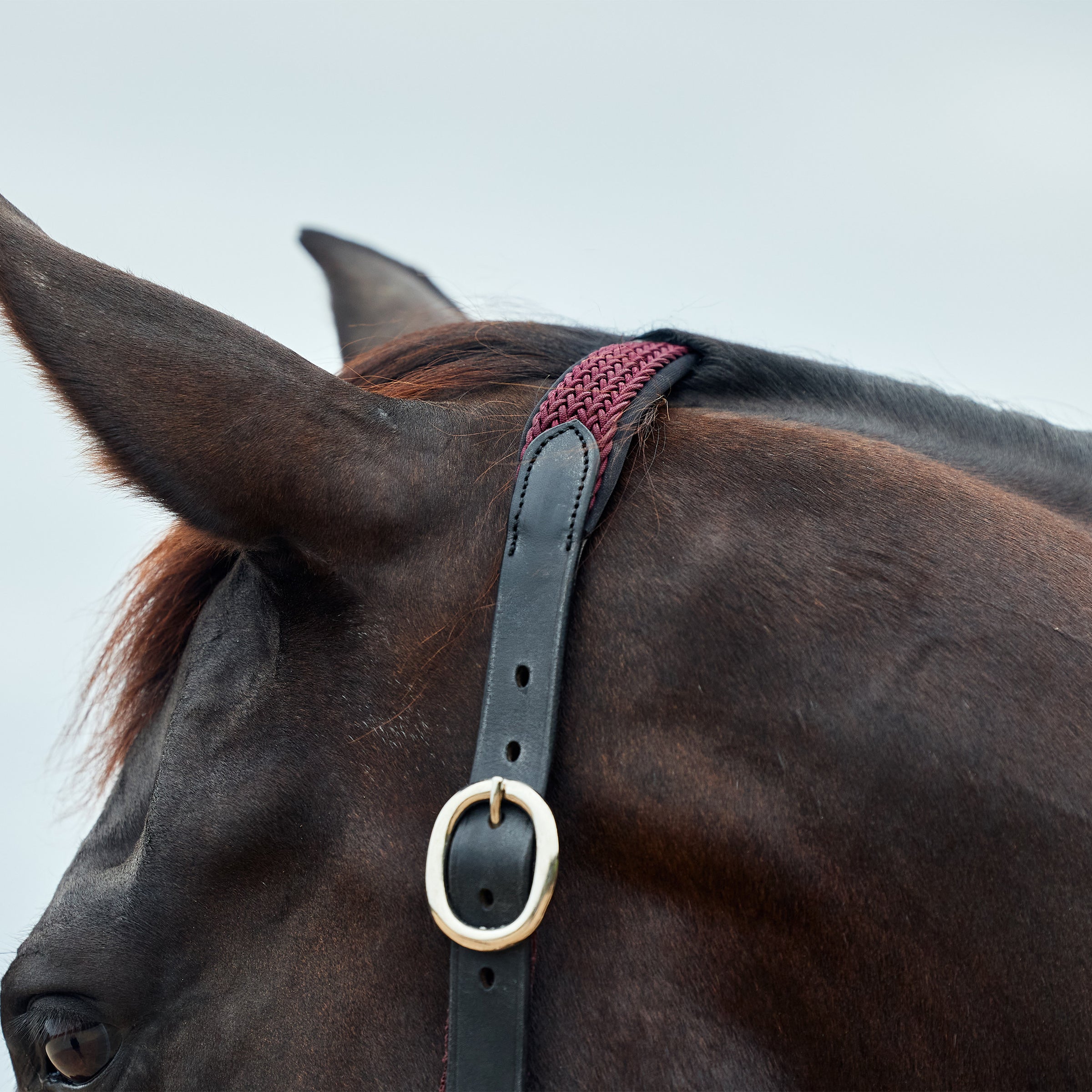 Braided Leather Headcollar - Burgundy