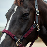Braided Leather Headcollar - Burgundy