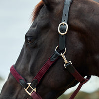 Braided Leather Headcollar - Burgundy