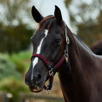 Braided Leather Headcollar - Burgundy