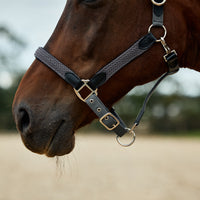 Braided Leather Headcollar - Charcoal