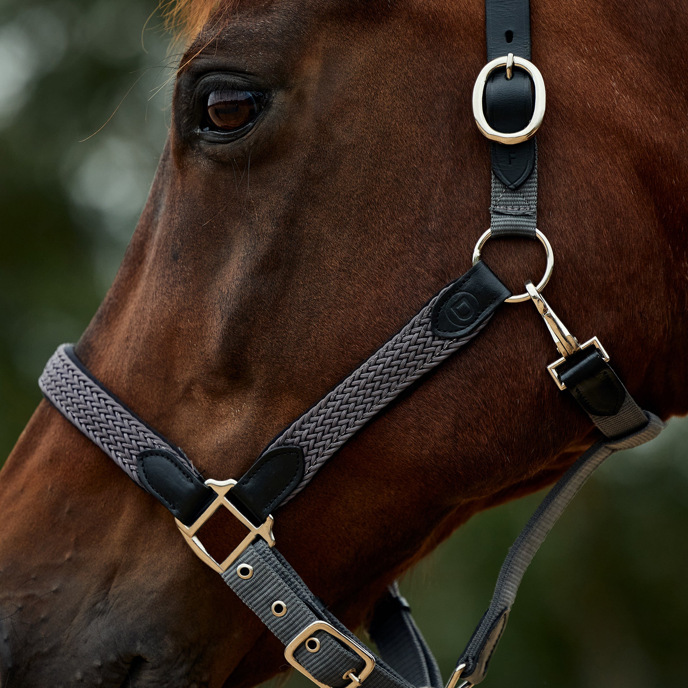 Braided Leather Headcollar - Charcoal