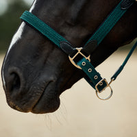 Braided Leather Headcollar - Hunter Green