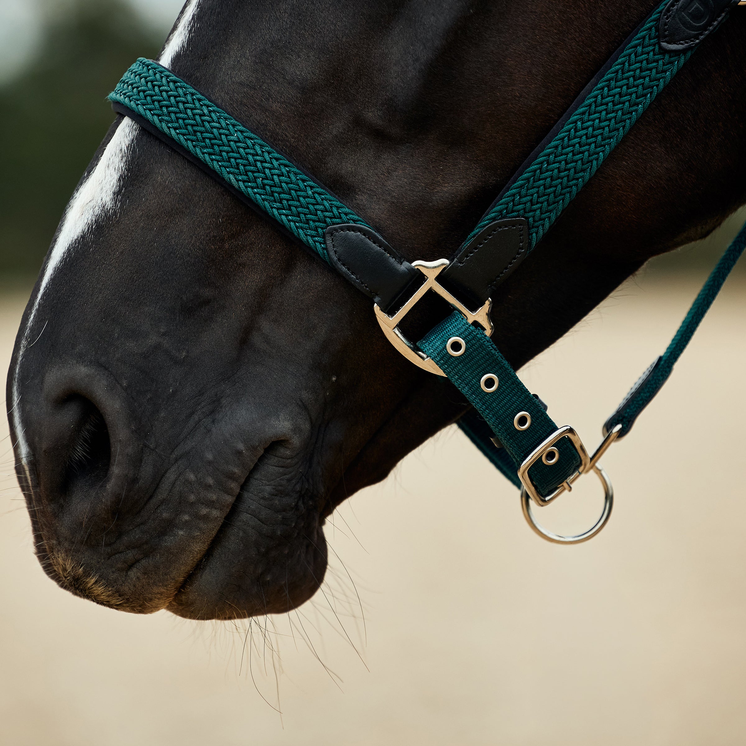 Braided Leather Headcollar - Hunter Green