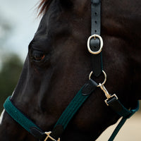 Braided Leather Headcollar - Hunter Green