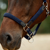 Braided Leather Headcollar - Navy