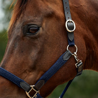 Braided Leather Headcollar - Navy