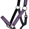 Headcollar Set - Amethyst