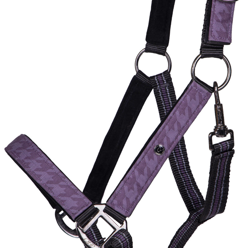 Headcollar Set - Amethyst