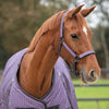 Headcollar Set - Amethyst