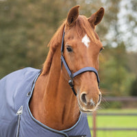 Headcollar Set - Sapphire