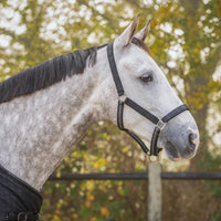 Head Collar Set - Midnight