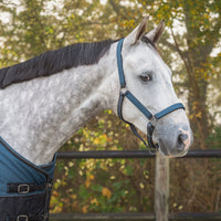 Head Collar Set - Mystic Blue