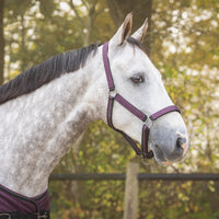 Head Collar Set - Wine Red