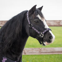 Head Collar Lize - Black/Violet