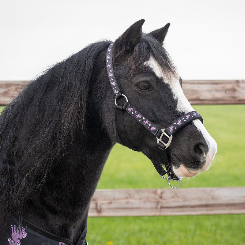 Head Collar Lize - Black/Violet