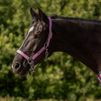 Head Collar Set - Cheery Pink
