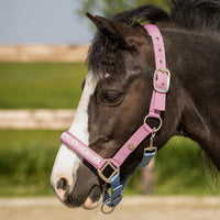 Head Collar Rosalynn - Pink/Blue